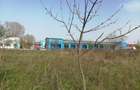 Vanzare inchiriere teren Mihailesti Giurgiu
