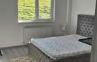 Apartament 2 camere decomandat, Visan - curba Str. Sf. Ilie - 6
