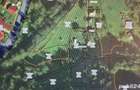 teren de vanzare intravilan-19000 EUR - 2