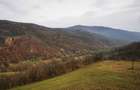 Casa + 7,65 hectare teren + sura CUCUTA, ALBA 89.000 NEGOCIABIL - 5