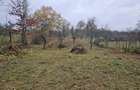 Teren de vanzare 6 mp - 6
