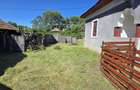 Gospodarie + teren agricol, Jiana Mare, jud. Mehedinti - 3