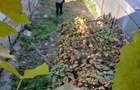 Casă cu Teren 200 Mp în Central - 5