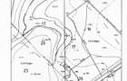Teren intravilan de vanzare in Snagov, 995 mp, Langa Padure! - 3