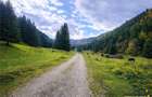 Teren intravilan panoramic 4.600 mp, view iconic Piatra Crai - 4