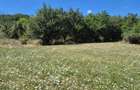 Teren panoramic 5.805 mp in Ciofrangeni, Arge? Natura, lini?te ?i acces facil - 2