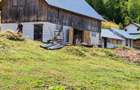 Vand proprietate cu teren Sohodol Alba - 6