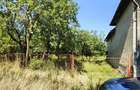 De vanzare casa parinteasca+livada,ambele la soseaua principala - 5