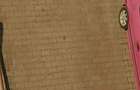 Chirie 2 camere Prima Nufarul - 8