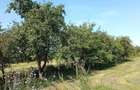 Vand casa Valea Muresului, sat Lalasint - 5
