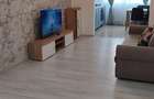 Apartament 2 camere - prima inchiriere - Antibiotice - 4