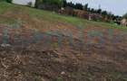 Teren intravilan, 8000 mp de inchiriat, Calea Borsului, Oradea - 2