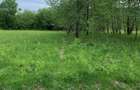 Teren rural de vanzare - electricitate ?i apa - 7