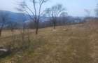 Vand teren intravilan in Moisei Maramures - 3