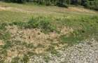 Vind teren intravilan in Vladesti sat Priopru in mai multe parcele intre 600 si 700m . - 6