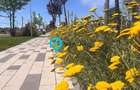 Garsoniera| Proiect de Top ultracentral| Bragadiru - 4