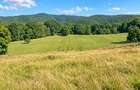 Vânzare teren extravilan pădure+ Pășune 17 000 mp Covasna - 12