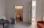 Inchiriez apartament cu 2 camere si 2 bai, zona Piata Mica - 4