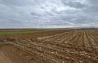 Teren extravilan 2500 mp,cu acces la Centura ,Radauti - 2