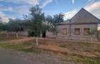 Casa de vanzare in Seitin, Arad teren 2.100 mp 35.000 DIRECT PROPRIETAR - 1