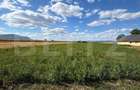 Teren intravilan, Puz aprobat parcele intre 500 - 700 mp