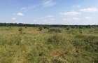 Baneasa - Piscul Reghiului, teren intravilan, suprafata 727 mp