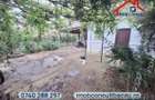 Casa cu livada si teren de 3.100 mp in Filipesti | CE1862