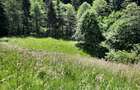 Teren intravilan situat in Predeal - 5