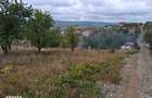 Teren intravilan Tomesti , 463 metri Cod:162884 - 3