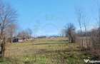 Teren intravilan 6500 mp- Gliganu de Sus - Rociu - 1