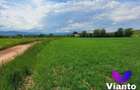 Teren Extravilan 500mp-Zona Turnisor - 2