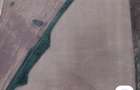 Vand teren agricol Buzias - 1