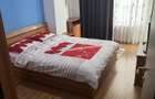 Apartament 2 camere decomandat Summerland - 10