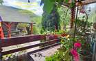 PROPRIETATE DEOSEBITĂ, ALMAȘ, CASĂ P+M, ECHIPATA COMLET, TEREN 951 MP, LIVADA - 11