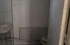 Proprietate 2.755 mp intravilan, casa P+1 din beton armat, 4 CF-uri actualizate Ineu, Dealul Viilor - 7