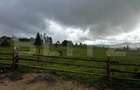 Teren de vanzare intravilan in Poiana Stampei, 2 hectare - 2