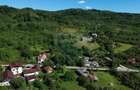 Casa de vanzare in natura la tara - Mihaesti - 3