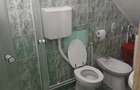 Vand sau schimb casa P+E+M in Savarsin jud Arad - 9