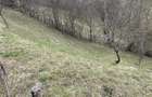 vand 2300m2 teren intravilant comuna secaria - 2