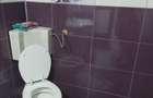Casa de vanzare in Pitesti 4 camere, garaj si curte amenajata