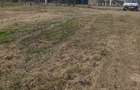 Loc de casa la 20 km de Oradea - 3