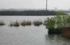 TEREN CORNESTI DB 2600mp; Butimanu- DESCHiIDERE LAC OCHIUL  BOULUI 2 - 3
