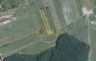 Corbeanca 5000 mp | deschidere 22 m la drum asfaltat | padure | utilit - 6