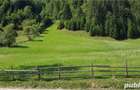 Teren de vanzare in Rucar Arges zona Rau?or. - 2