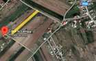 Teren de 3400 mp, în Buturugeni - 2