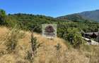 Teren intravilan 2.580 mp E?elni?a, acces DN57, ideal turism, locuinte - 9