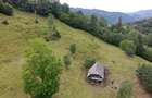Teren de 30000 mp, în Șanț - 6