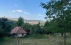 Proprietar vand teren intravilan 2774 mp - 8