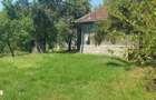 Casa cu 2 camere, teren 3000 mp, padure - 16