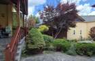 Casa singur in curte Ultracentral - str. Rodnei - 19